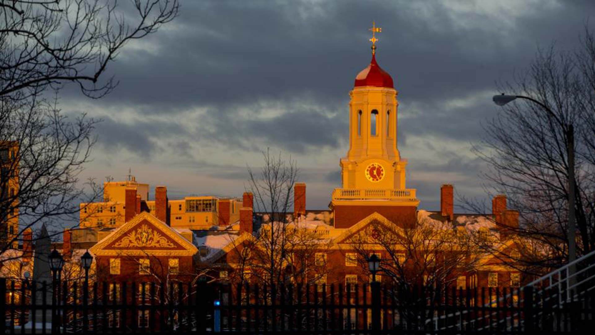 Fundação Lemann e Harvard: 10 anos de parceria
